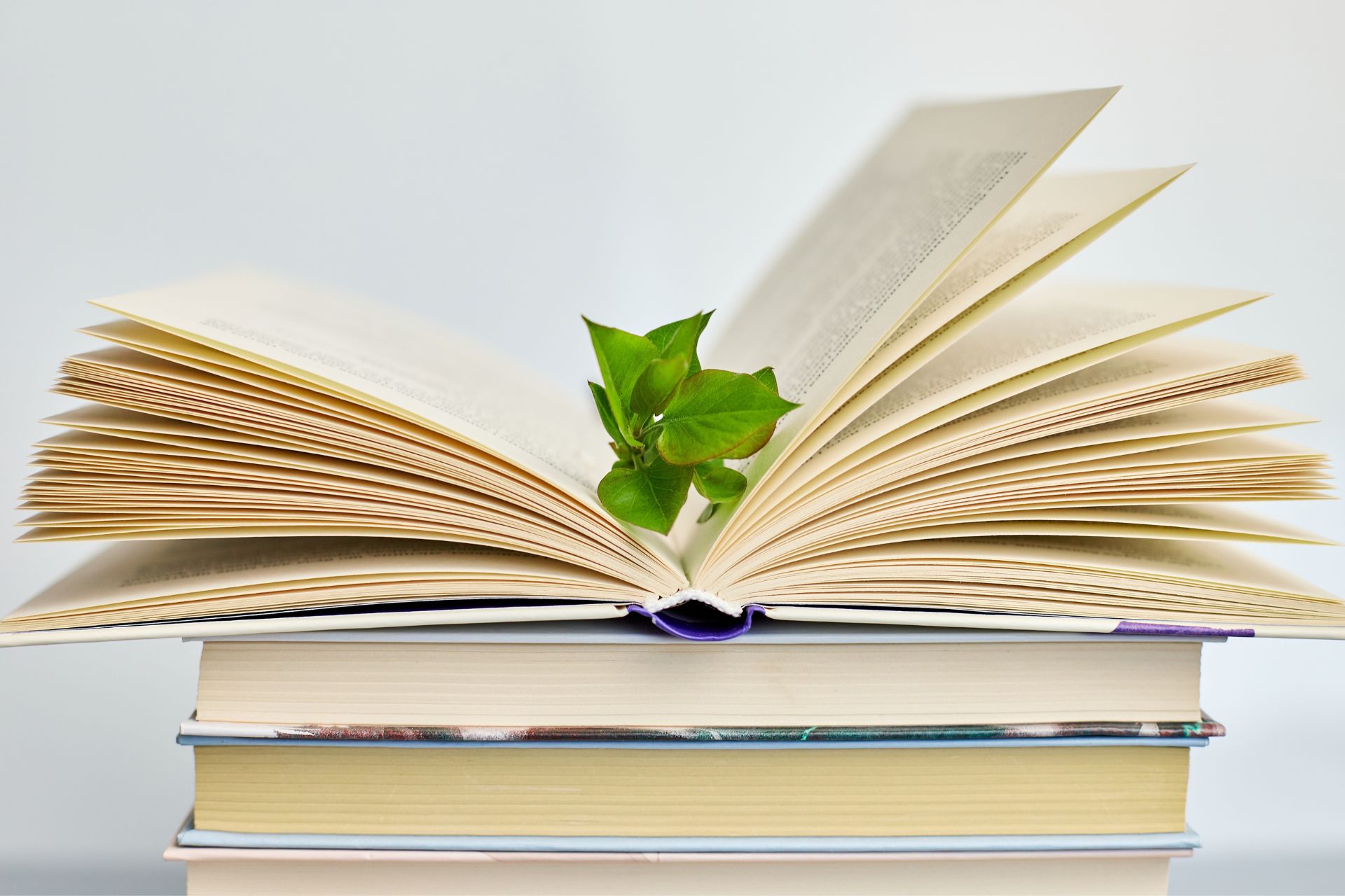 Fostering a strong learning culture